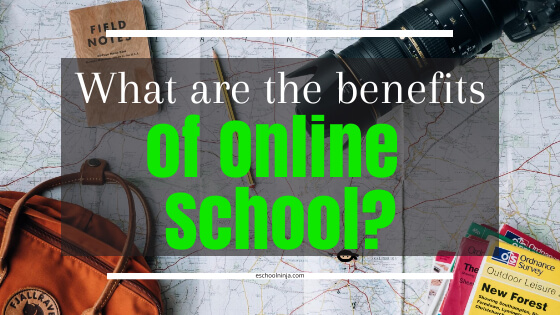Picture of Benefits of Online School Blog Banner