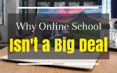 Why Virtual School Isn’t a Big Deal